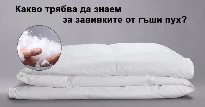 Какво трябва да знаем за продуктите от гъши пух? 