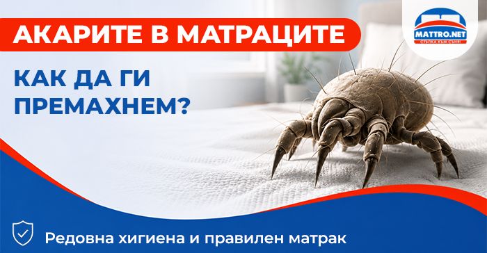 Акарите в матраците - как да ги премахнем?