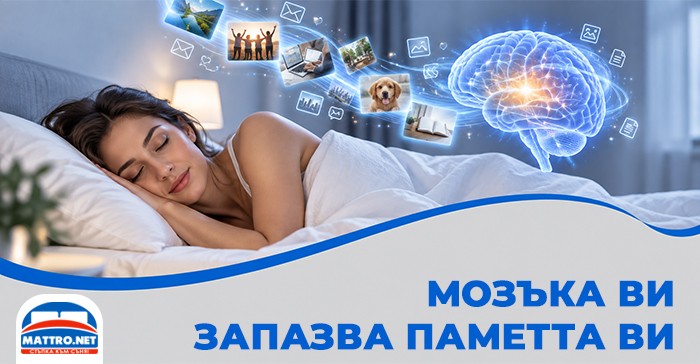 Мозъкът обработва информация