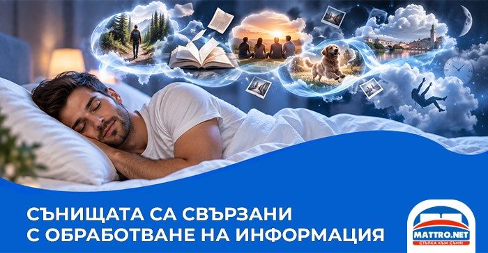Сънуване